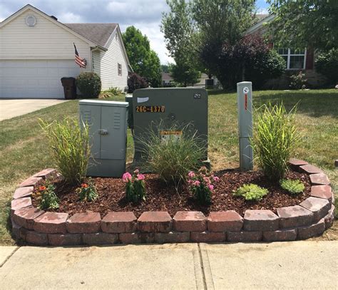 evergreens to hide electrical box|how to hide utility boxes.